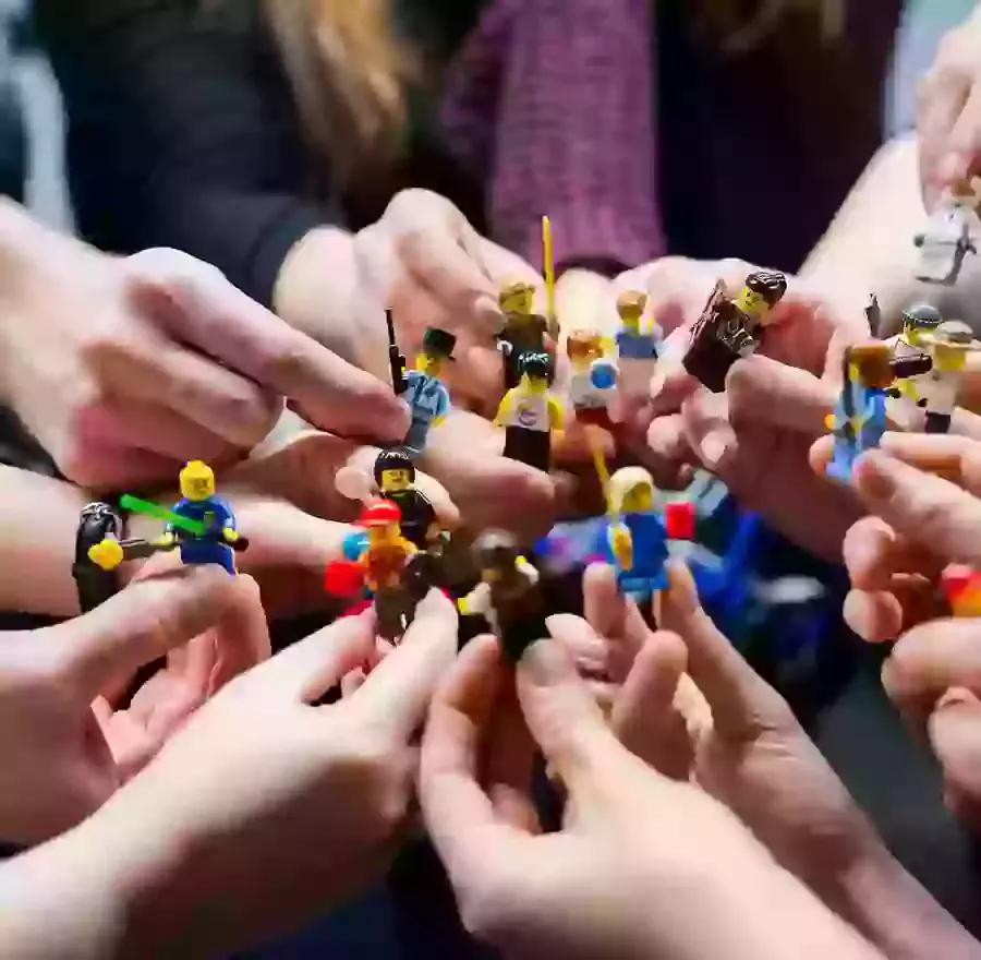 Meet The Team